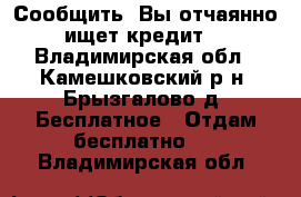 Сообщить! Вы отчаянно ищет кредит! - Владимирская обл., Камешковский р-н, Брызгалово д. Бесплатное » Отдам бесплатно   . Владимирская обл.